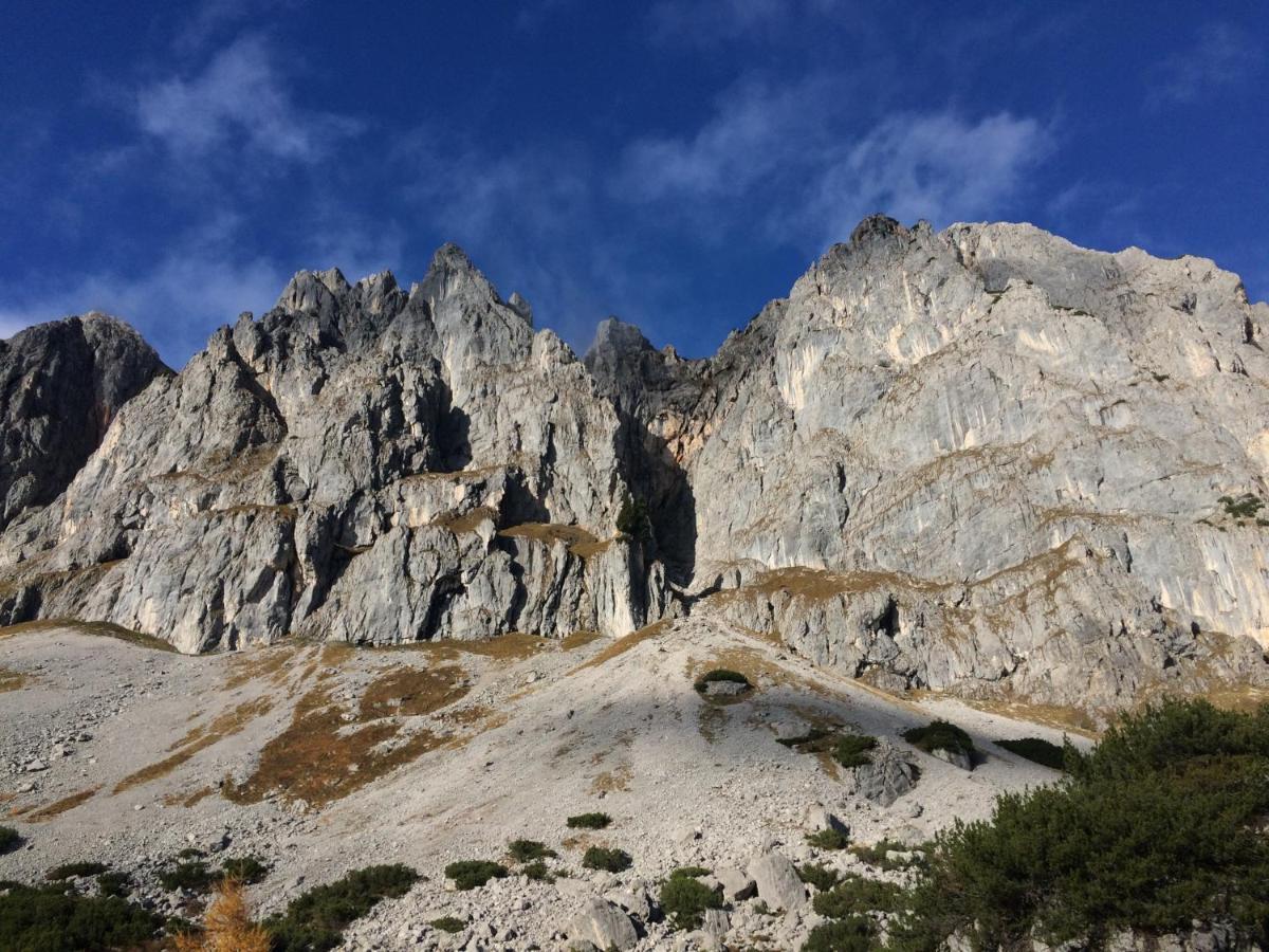Ferienwohnung "Mein Alpenjuwel" Filzmoos Extérieur photo